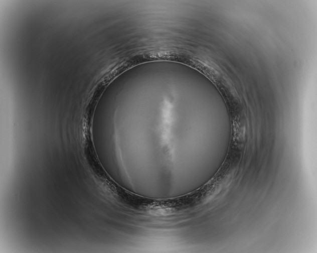 X0000095120648200712211310