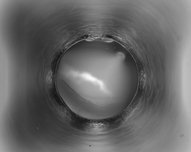 X0000095120650200712211310