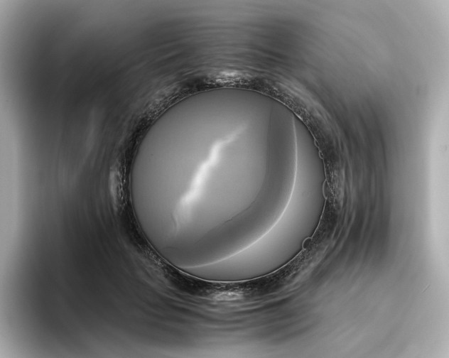 X0000095120653200712211311