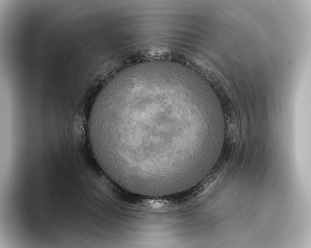 X0000095120654200712211311