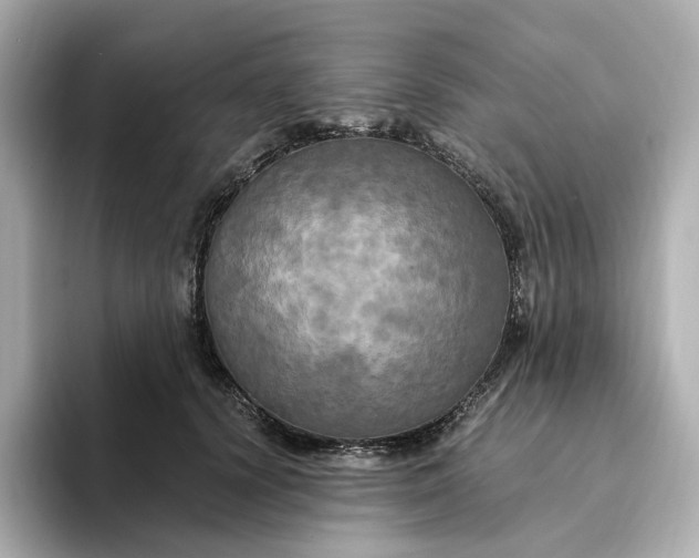 X0000095120656200712211311