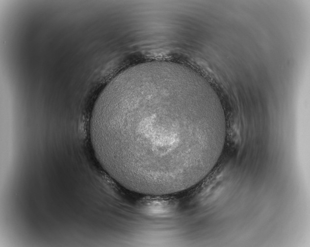 X0000095120658200712211311