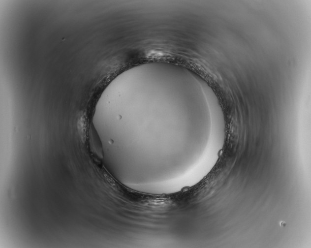 X0000095120659200712211311