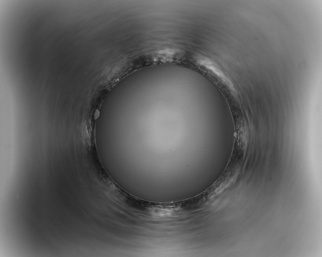 X0000095120661200712211311