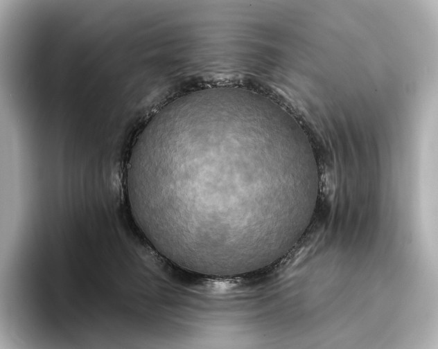 X0000095120662200712211311