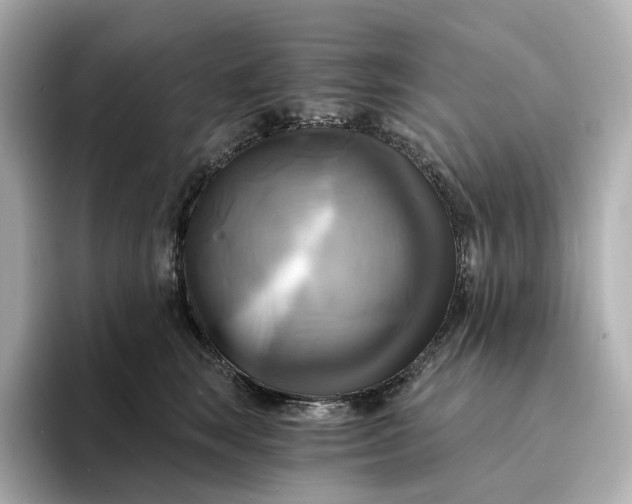 X0000095120663200712211311