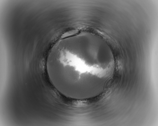 X0000095120664200712211311