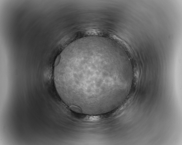 X0000095120665200712211311