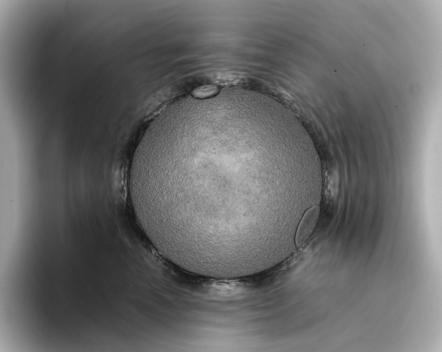 X0000095120666200712211311