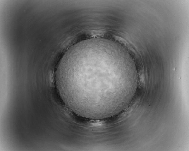 X0000095120667200712211311