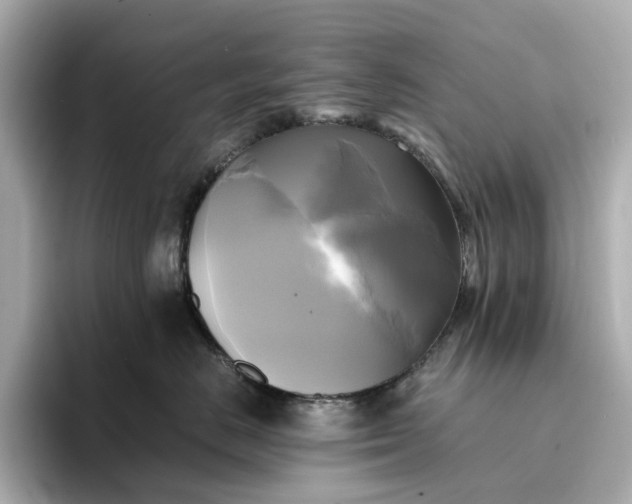 X0000095120670200712211311