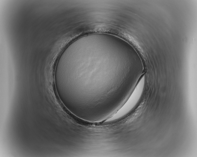 X0000095120673200712211310