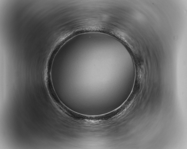 X0000095120677200712211310