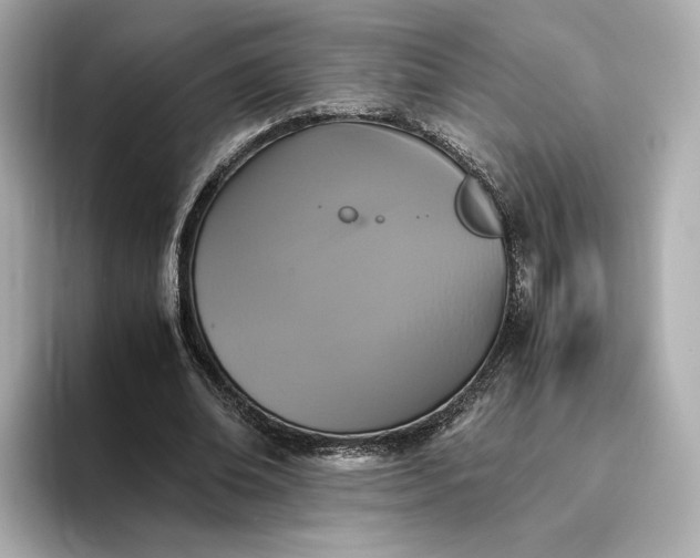 X0000095120678200712211310