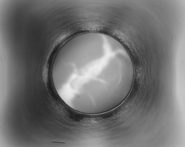 X0000095120679200712211310