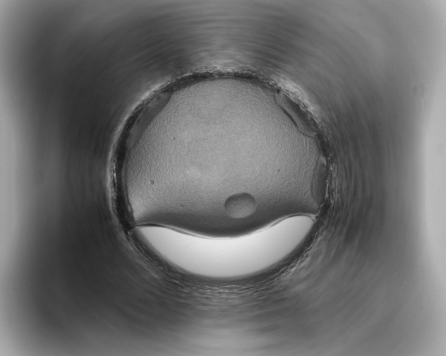 X0000095120680200712211310