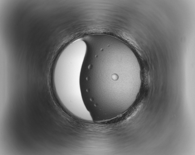 X0000095120681200712211310