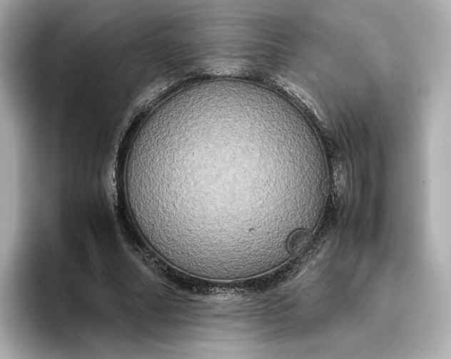 X0000095120682200712211310