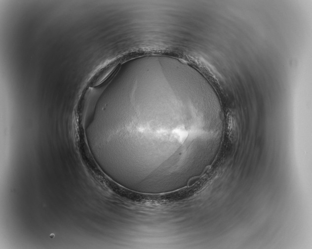 X0000095120684200712211310