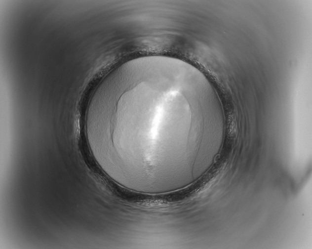 X0000095120685200712211310