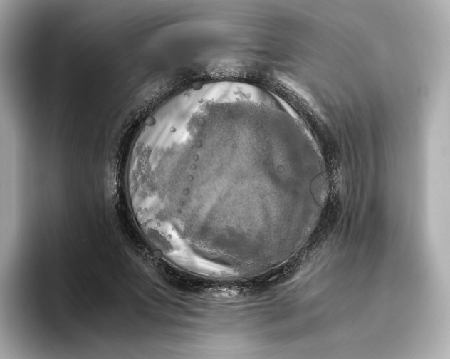 X0000095120687200712211310