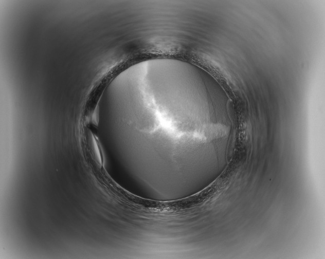 X0000095120688200712211310