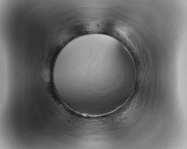 X0000095120689200712211310