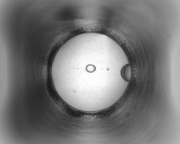 X0000095120690200712211310