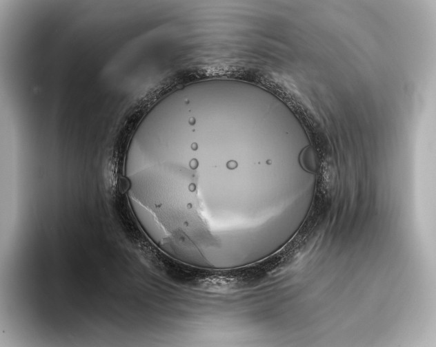 X0000095120691200712211310