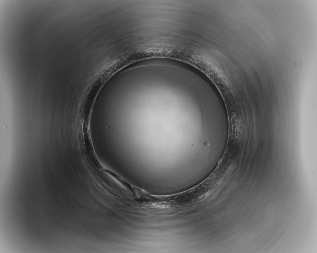 X0000095120692200712211310