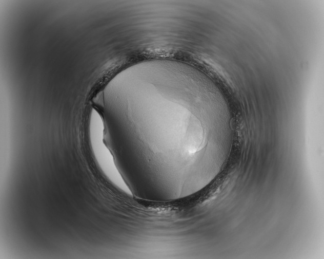 X0000095120693200712211310