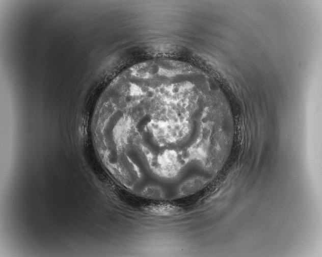 X0000095120695200712211310