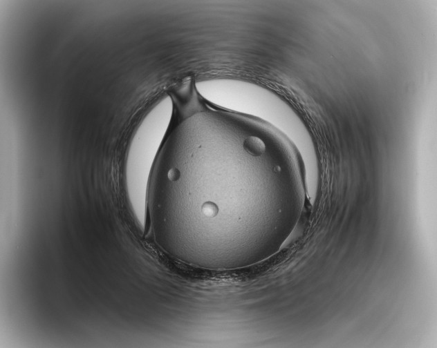 X0000095120696200712211310