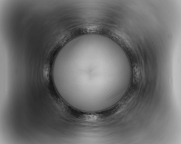 X0000095120698200712211310