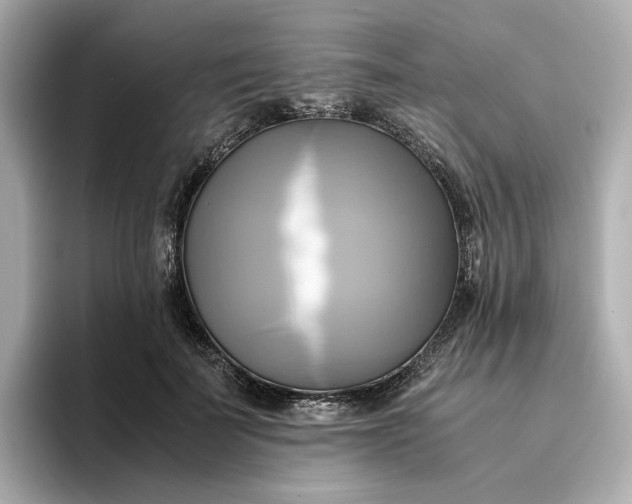 X0000095120699200712211310