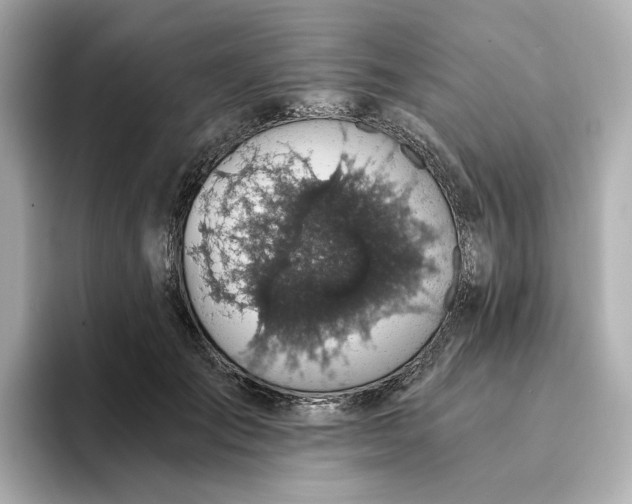 X0000095120701200712211310