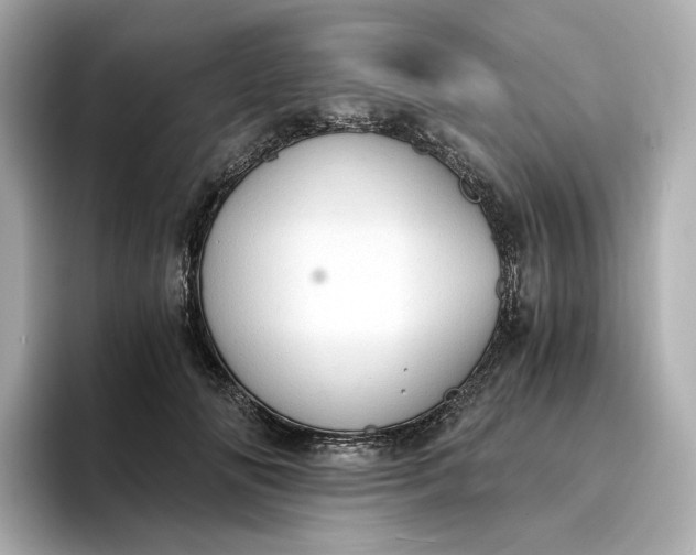 X0000095120702200712211310