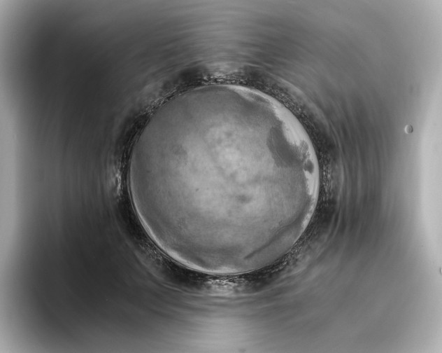 X0000095120703200712211310