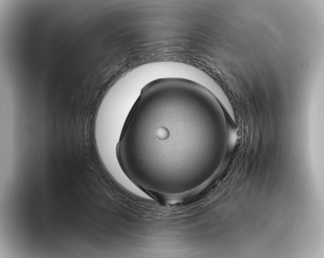 X0000095120704200712211310