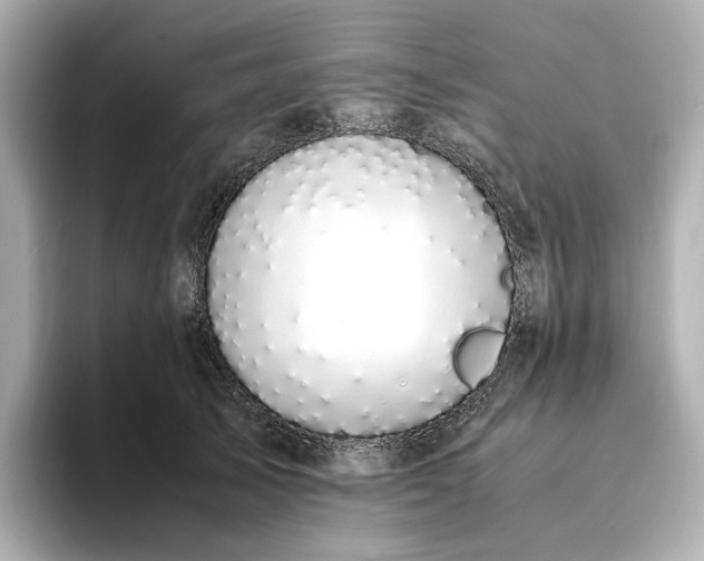 X0000095120705200712211310