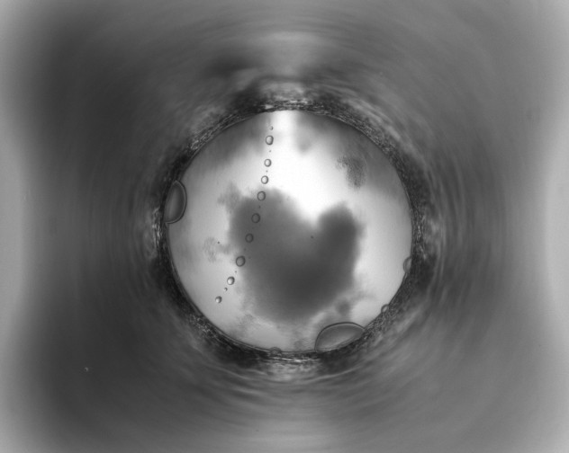 X0000095120707200712211310