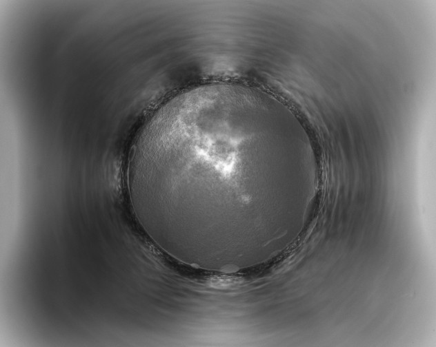 X0000095120708200712211310