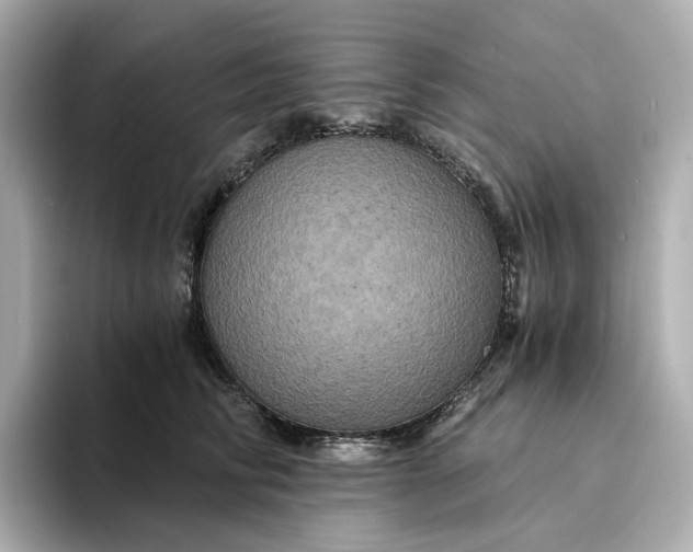 X0000095120710200712211310