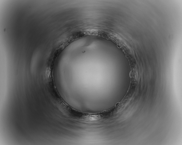 X0000095120711200712211310