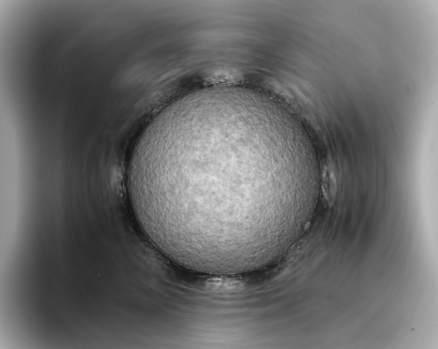 X0000095120714200712211310