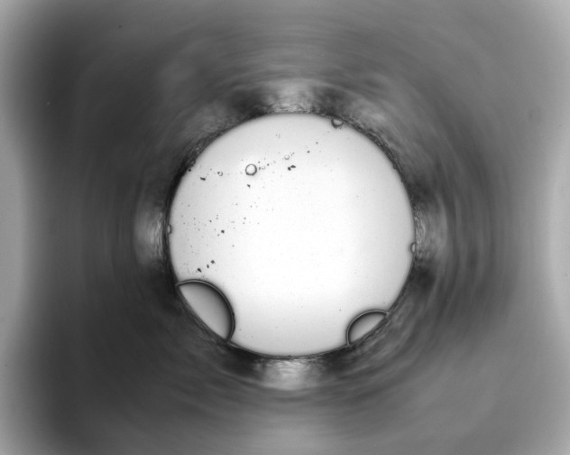 X0000095120717200712211310