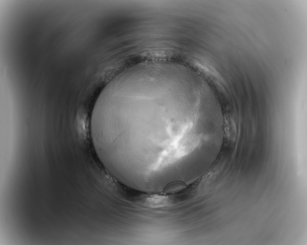 X0000095120718200712211310