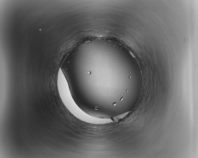 X0000095120720200712211310