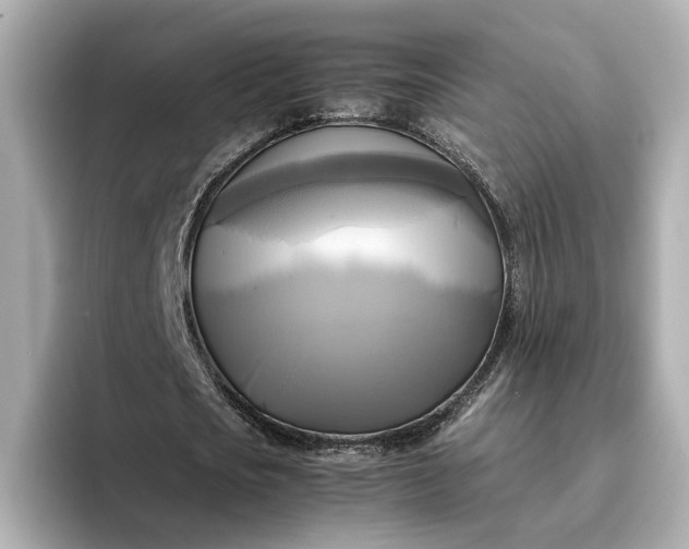 X0000095120721200712211309