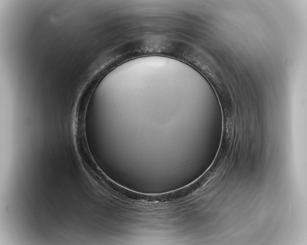 X0000095120722200712211309